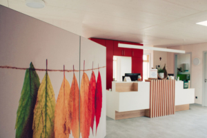 Bild der Praxisräume. Eingangsbereich mit Blick auf den Empfangstresen.